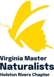 VMN-stacked-HolstonRivers-rgb